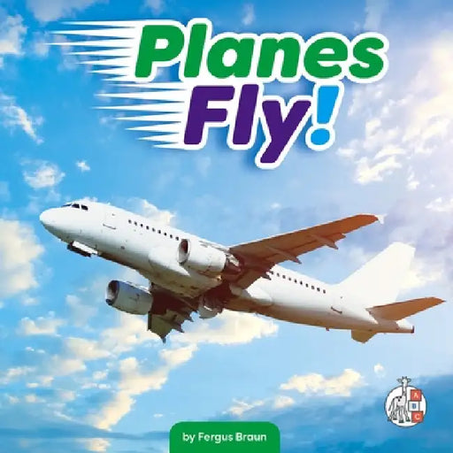 Planes Fly! by Fergus Braun