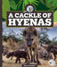 A Cackle of Hyenas by Kelley Barth