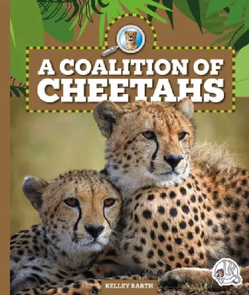 A Coalition of Cheetahs by Kelley Barth