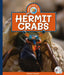 Hermit Crabs by Kathryn Stevens