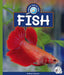 Fish by Kathryn Stevens