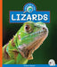 Lizards by Kathryn Stevens