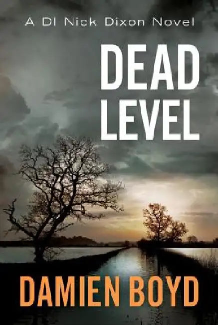 Dead Level by Damien Boyd