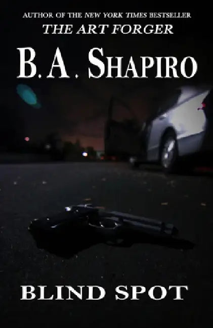 Blind Spot by B. A. Shapiro