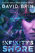 Infinity's Shore by David Brin