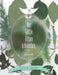 Our Little Urban Arboretum, a diary by Charlotte Schneider