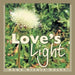 Love's Light by Dana Nicole Haley