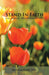 Stand in Faith: Gilgal Devotionals by Nathalie Nérée