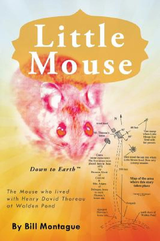 Little Mouse by Bill Montague