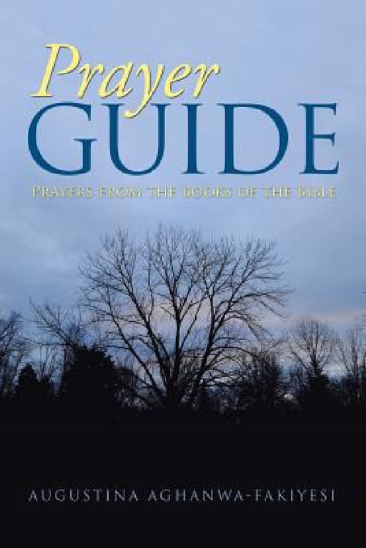 Prayer Guide: Prayers from the Books of the Bible by Augustina Aghanwa-Fakiyesi