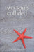 Two Souls Collided: A Poetic Journey by Tanya Muftic