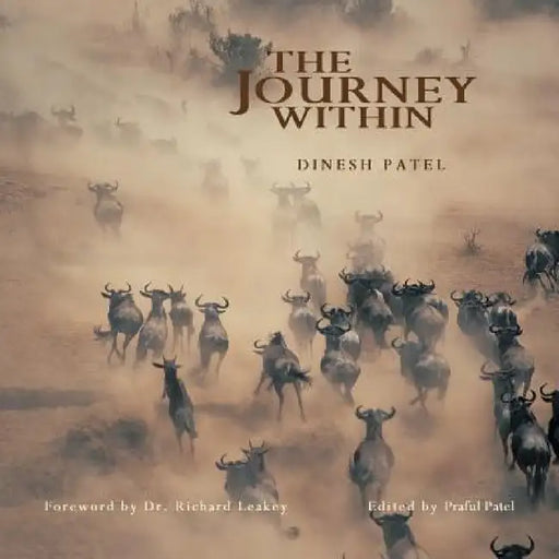 The Journey Within by Praful Patel, Dinesh Patel