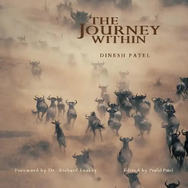 The Journey Within by Praful Patel, Dinesh Patel