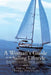 A Woman's Guide to the Sailing Lifestyle: The Essentials and Fun of Sailing Off the New England Coast by Debra Picchi, Thomas Desrosiers