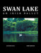 Swan Lake: An Irish Ballet by Gunter Rau