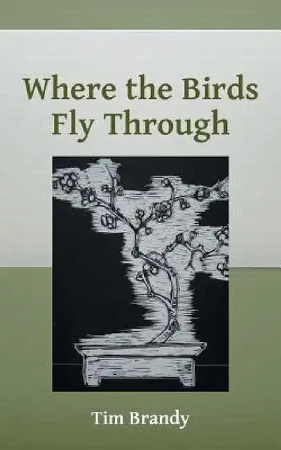 Where the Birds Fly Through by Tim Brandy