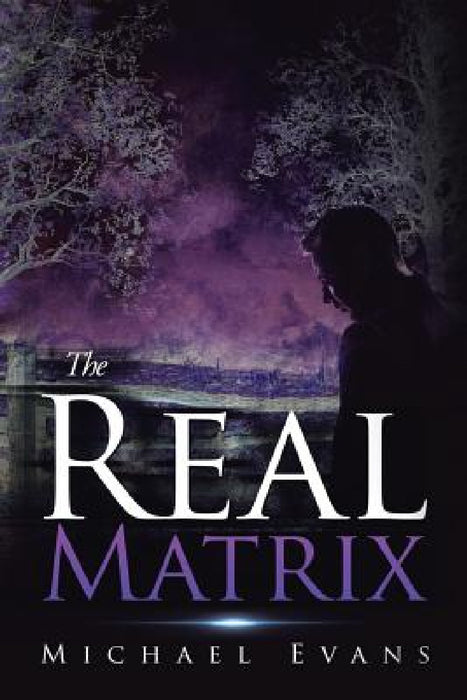 The Real Matrix by Michael Evans