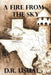 A Fire From The Sky by D. R. Usual