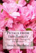 Petals from the Basket: Devotional Thoughts for Women by Brenda Strohbehn