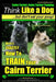 Cairn Terrier, Cairn Terrier Training Think Like a Dog But Don't Eat Your Poop! Breed Expert Cairn Terrier Training: Here's EXACTLY How To Train Your by Paul Allen Pearce