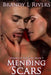 Mending Scars by Tara Shaner