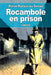 Rocambole en prison by Ponson Du Terrail, Pierre