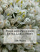Pride and Prejudice: Extra Large Print by Jane Austen