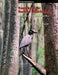 Roanoke River National Wildlife Refuge: Comprehensive Conservation Plan and Final Environmental Impact Statement by U S Fish & Wildlife Service
