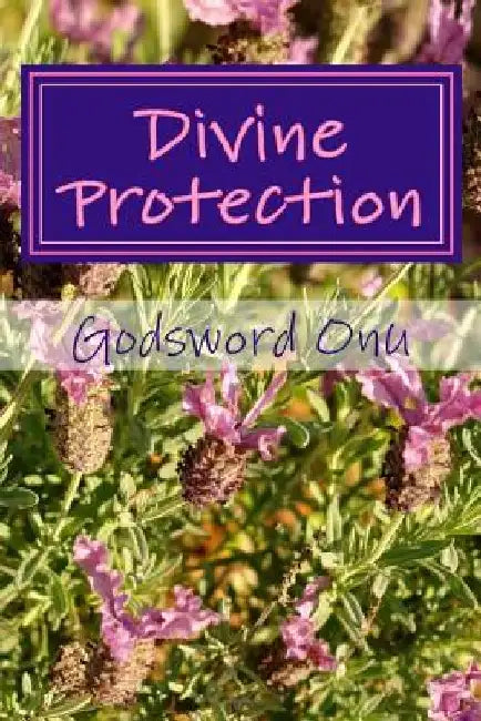 Divine Protection: Safety and Security In God by Godsword Godswill Onu
