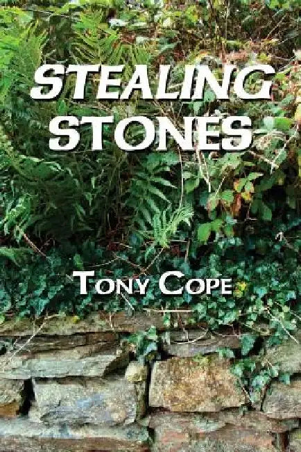Stealing Stones by Tony Cope