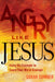 Angry Like Jesus: Using His Example to Spark Your Moral Courage by Sarah Sumner