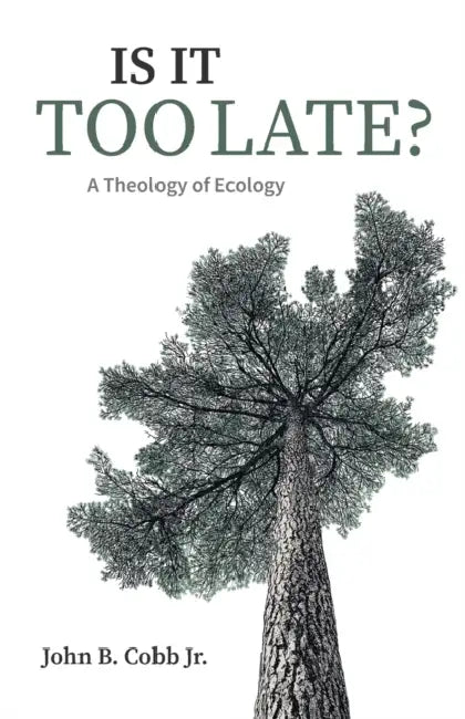 Is It Too Late?: A Theology of Ecology by Jr. Cobb John B.