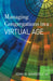 Managing Congregations in a Virtual Age by Jr. Wimberly John W.