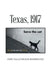 Texas, 1917 by Jose Talleyrand Rodriguez