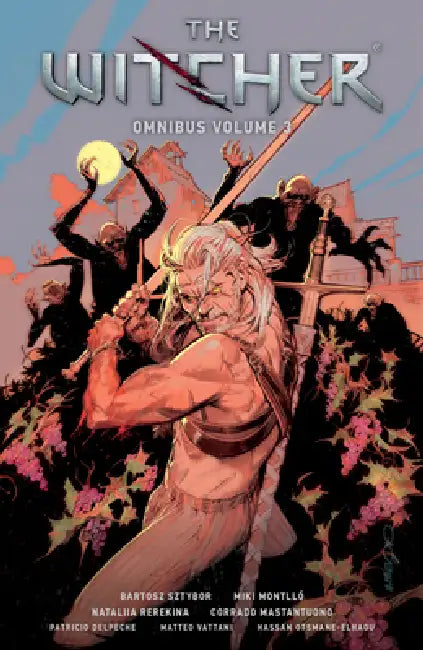 The Witcher Omnibus Volume 3 by Bartosz Sztybor, Miki Montllo, Nataliia Rerekina