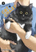 Cat + Crazy Volume 3 by Wataru Nadatani, Wataru Nadatani