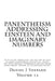 Panentheism Addressing Einstein and Imaginary Numbers by Daniel J. Shepard