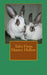 Tales From Hunter Hollow by Annie-Laurie Hunter