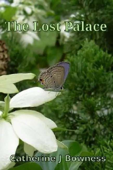 The Lost Palace by Catherine Bowness