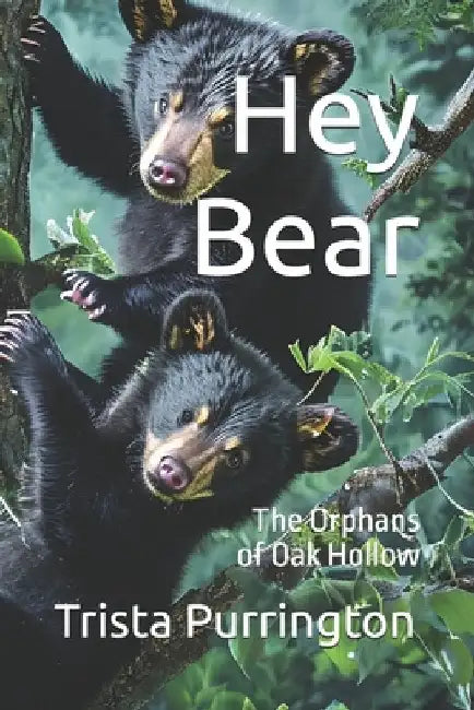Hey Bear: The Orphans of Oak Hollow by Purrington, Trista