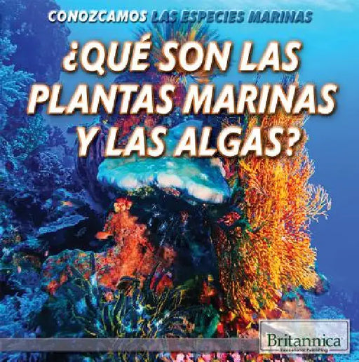 ¿Qué Son Las Plantas Marinas Y Las Algas? (What Are Sea Plants and Algae?) by Lynnae D. Steinberg