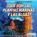 ¿Qué Son Las Plantas Marinas Y Las Algas? (What Are Sea Plants and Algae?) by Lynnae D. Steinberg