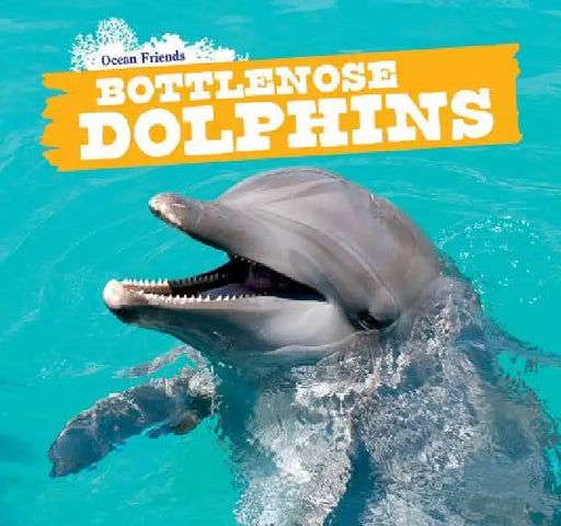 Bottlenose Dolphins by Caitie McAneney