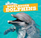 Bottlenose Dolphins by Caitie McAneney