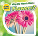Why Do Plants Have Flowers? by Celeste Bishop