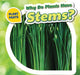 Why Do Plants Have Stems? by Celeste Bishop