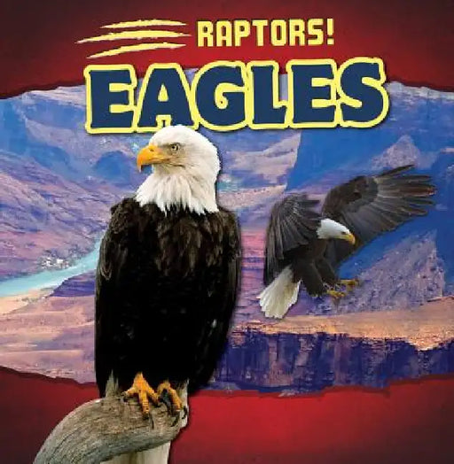 Eagles by Rosemary Jennings