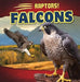 Falcons by Emily Wilson