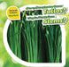 ¿Por Qué Las Plantas Tienen Tallos? / Why Do Plants Have Stems? by Celeste Bishop