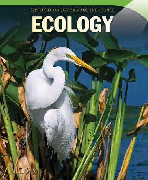 Ecology by Omar Stone